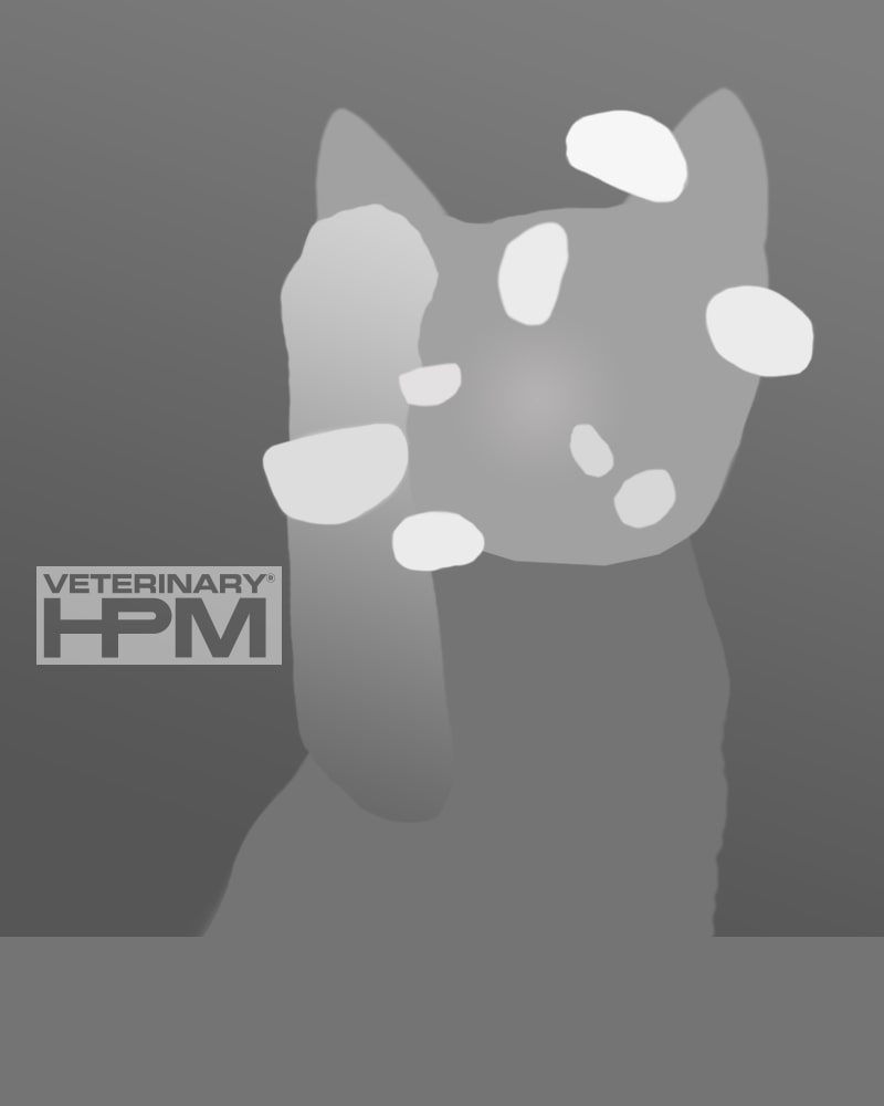 Veterinary HPM 3D poszt